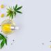 CBD come cura per l’ansia? Ecco tutto ciò che si deve sapere