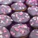 Muffin al cioccolato