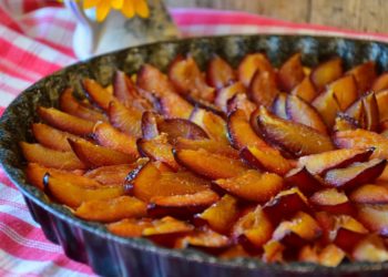 Torta di prugne